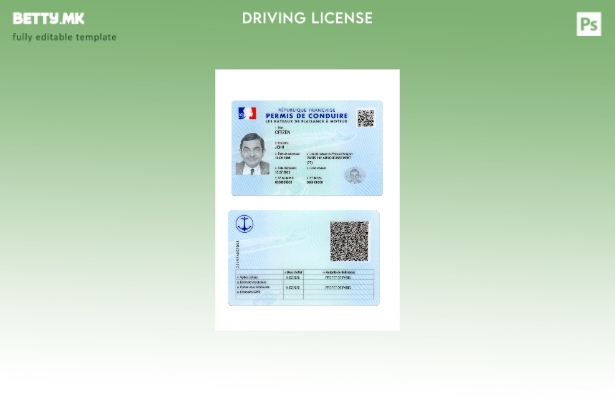 Модерен стил Француска возачка дозвола присутен шаблон 1